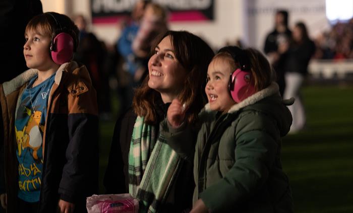 Family watching fireworks display